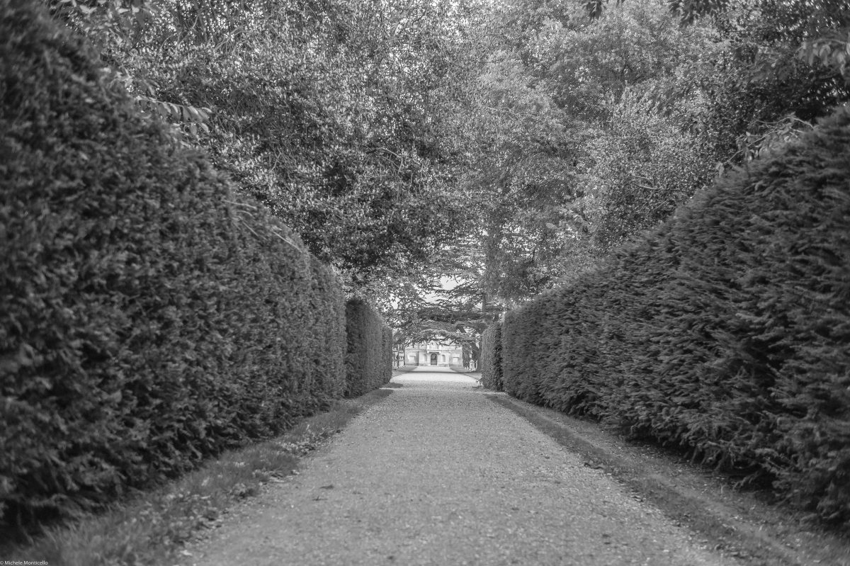 The Long path Michele Monticello